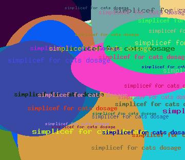 Simplicef For Cats Dosage